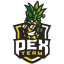 PEX Team