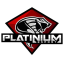 Team Platinium