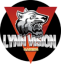 Lynn Vision Gaming