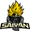 Team Saiyan