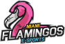 Miami Flamingos