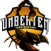 Unbeaten Esports