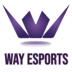 WAY Esports