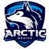Arctic Gaming México