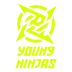 Young Ninjas