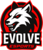 Evolve eSports