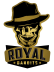 Royal Bandits e-sports