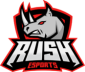 RUSH Esports
