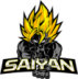 Team Saiyan