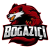 Team Bogazici
