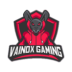 Vainox Gaming