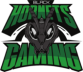 Black Hornets Gaming