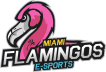 Miami Flamingos