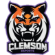 Clemson Esports