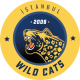 Istanbul Wildcats