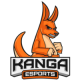 Kanga Esports