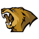 Lynn Vision Gaming