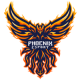 Phoenix Esport