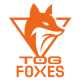 TeamOrangeGaming