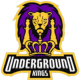 Underground Kings Esports