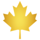 Team Maple