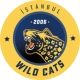 Istanbul Wildcats