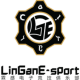 LinGan e-Sports