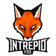 Intrepid Fox Gaming