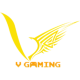 V Gaming