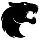 FURIA Esports