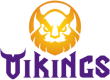 Vikings Esports