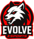 Evolve eSports