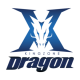 Kingzone DragonX