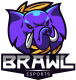 BrawL eSports