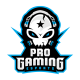 ProGaming Esports