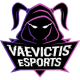 Vaevictis eSports