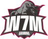 W7M gaming