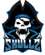 SkullZ Gaming