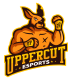 Uppercut Esports