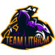 Team Lithium