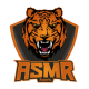 ASMR eSports