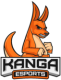 Kanga Esports