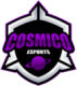 CosmiCo Esports