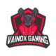 Vainox Gaming