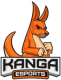 Kanga Esports