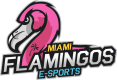 Miami Flamingos