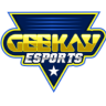 Geekay Esports