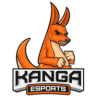 Kanga Esports