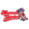 MURASH GAMING