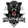 Panthers Esports